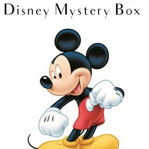 Disney mystery tshirt box
